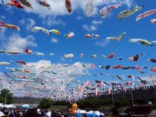 第33回こいのぼりフェスタ1000に出演しました